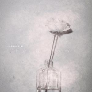 欧美成人男同视频网站
